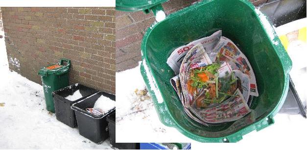 Composting using my green bin in winter.