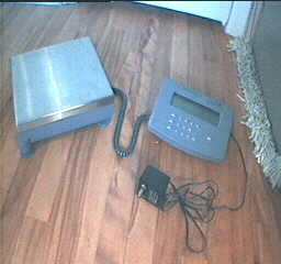 DI-8K digital scale from Denver Instrument Company