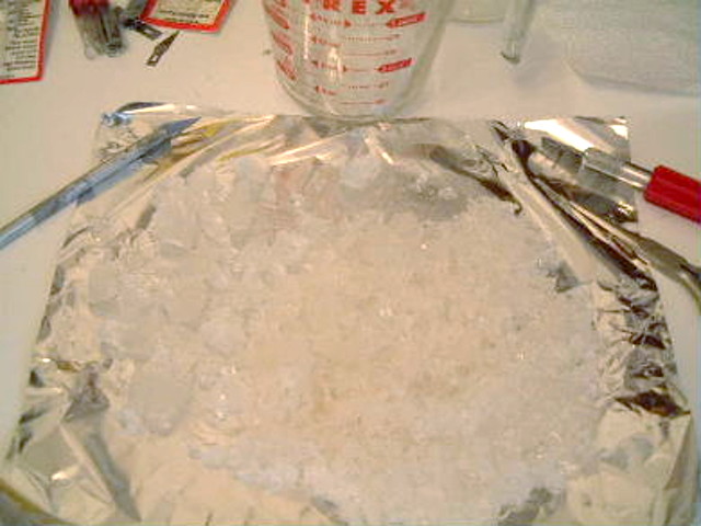 Step 9 in making rochelle salt piezoelectric crystal, the end result.
