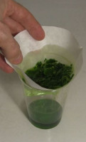 Filtering the chlorophyll from the mixture.