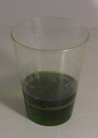 Chlorophyll made from spinach.