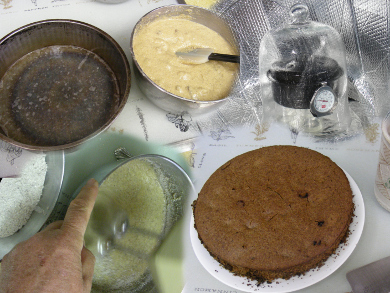 Solar cooked gluten-free pumpkin sourdough bread/cake mosaic
    including from batter to finished cake.