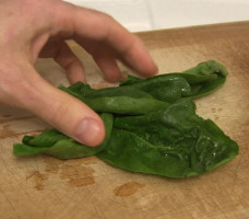 Fresh spinach for extracting chlorophyll.