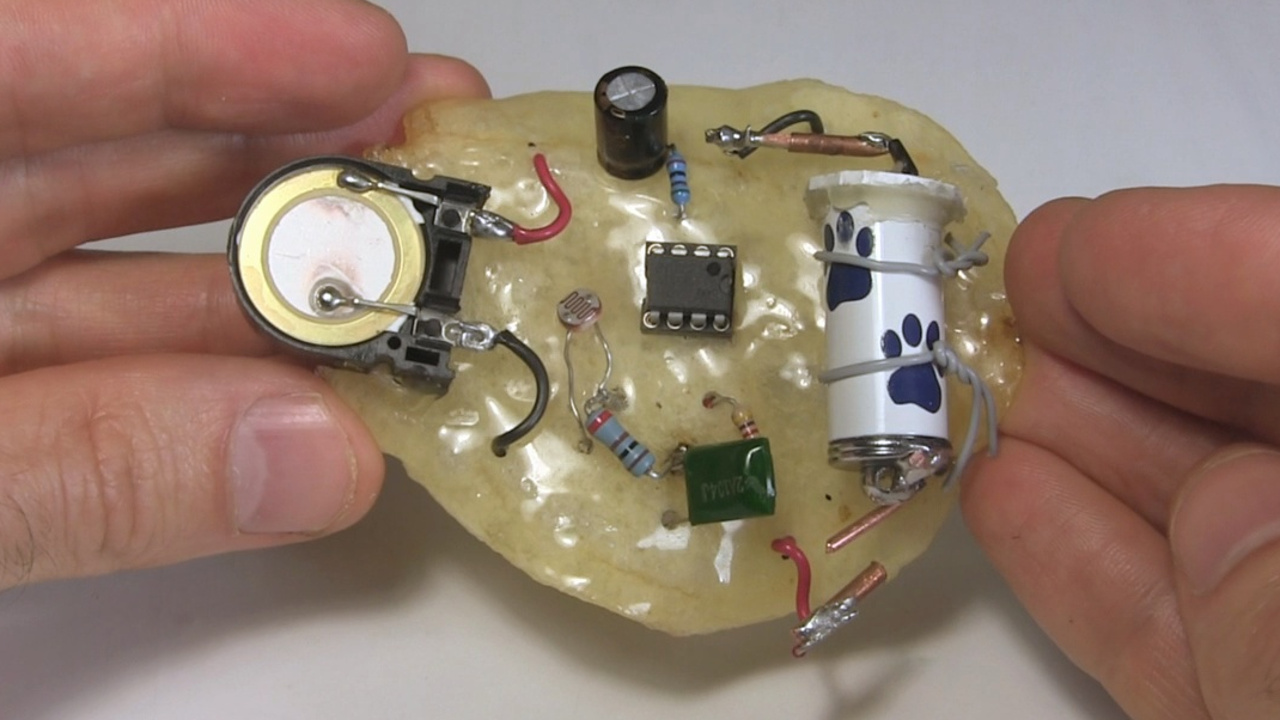 Potato chip macrochip with 555 timer circuit.