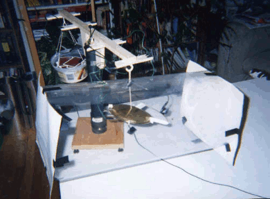 Thomas Townsend Brown style disk or saucer inside a clear
      plastic tube for testing ion wind effects.